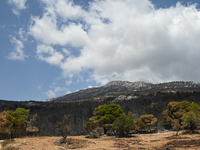 View of a small part of the burned area following the forest fire that raged in Mount Parnitha overlooking Athens, Greece on September 2nd,...