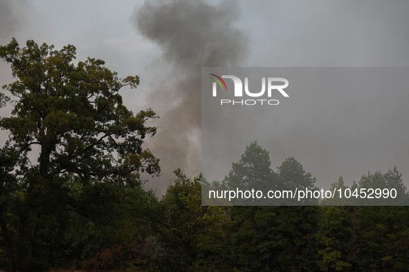 Heavy smoke from a large wildfire is seen rising from behind trees on September 2, 2023, near Huntsville in Walker County, Texas.  