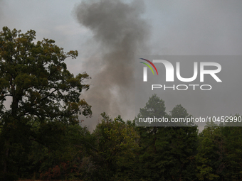 Heavy smoke from a large wildfire is seen rising from behind trees on September 2, 2023, near Huntsville in Walker County, Texas.  (