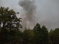 Heavy smoke from a large wildfire is seen rising from behind trees on September 2, 2023, near Huntsville in Walker County, Texas.  (