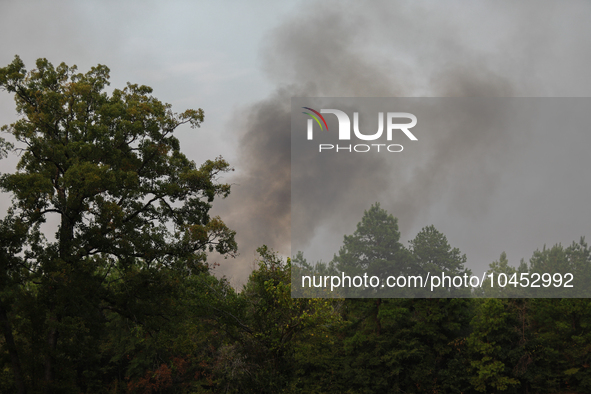 Heavy smoke from a large wildfire is seen rising from behind trees on September 2, 2023, near Huntsville in Walker County, Texas.  