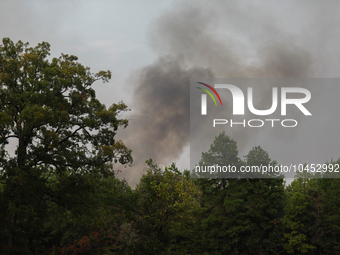 Heavy smoke from a large wildfire is seen rising from behind trees on September 2, 2023, near Huntsville in Walker County, Texas.  (