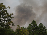 Heavy smoke from a large wildfire is seen rising from behind trees on September 2, 2023, near Huntsville in Walker County, Texas.  (