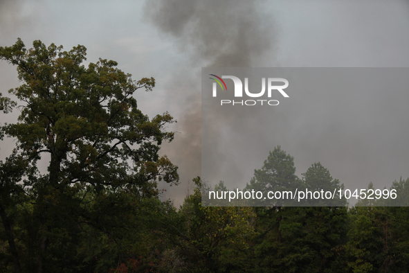 Heavy smoke from a large wildfire is seen rising from behind trees on September 2, 2023, near Huntsville in Walker County, Texas.  