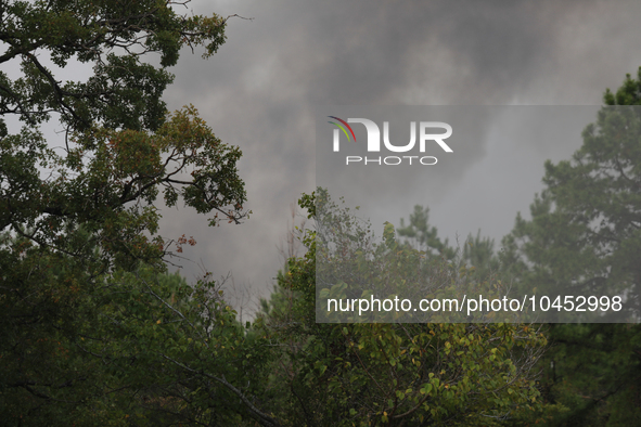 Heavy smoke from a large wildfire is seen rising from behind trees on September 2, 2023, near Huntsville in Walker County, Texas.  