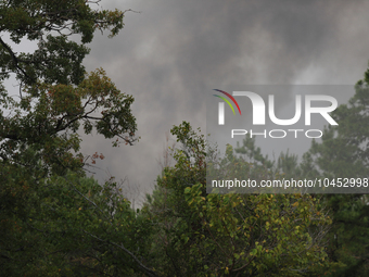 Heavy smoke from a large wildfire is seen rising from behind trees on September 2, 2023, near Huntsville in Walker County, Texas.  (