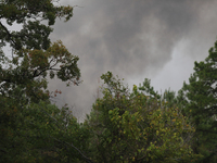 Heavy smoke from a large wildfire is seen rising from behind trees on September 2, 2023, near Huntsville in Walker County, Texas.  (