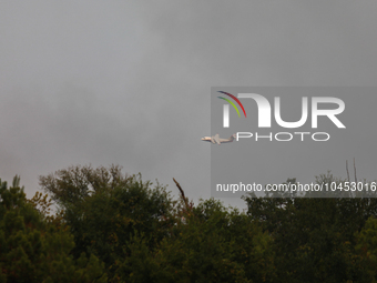 A firefighting aircraft passes through smoke from a wildfire in Walker County, Texas on September 2, 2023.  (