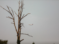 A firefighting aircraft passes through smoke from a wildfire in Walker County, Texas on September 2, 2023.  (