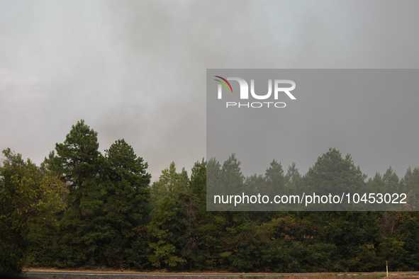 Smoke from a large wildfire is seen rising from behind trees on September 2, 2023, near Huntsville in Walker County, Texas.  