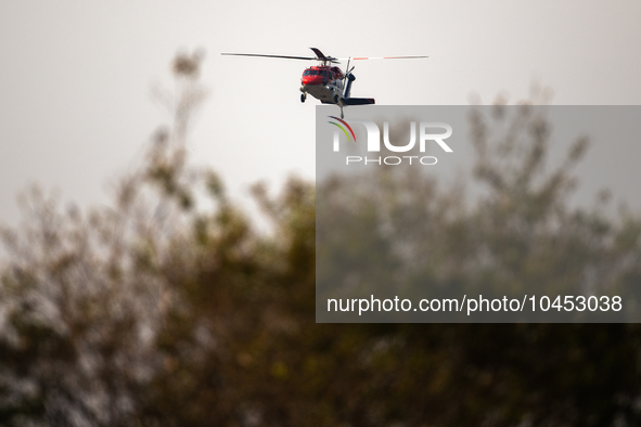 Helicopters help with the fire suppression effort during a large and fast-moving wildfire in Walker County, Texas on September 2, 2023.  