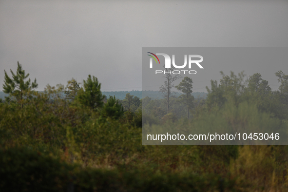 The wildfire smoke blocks much of the sunlight in the area on September 2, 2023 in Walker County, Texas.  