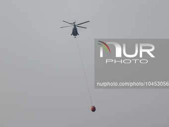 Helicopters help with the fire suppression effort during a large and fast-moving wildfire in Walker County, Texas on September 2, 2023.  (