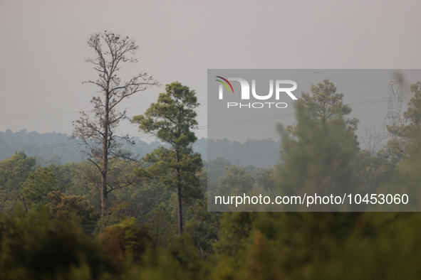 The wildfire smoke blocks much of the sunlight in the area on September 2, 2023 in Walker County, Texas.  