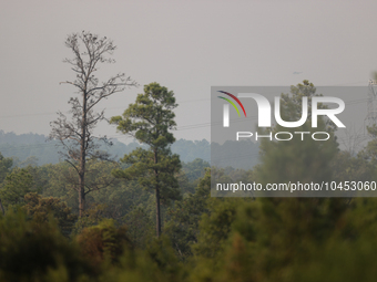 The wildfire smoke blocks much of the sunlight in the area on September 2, 2023 in Walker County, Texas.  (