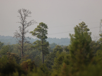 The wildfire smoke blocks much of the sunlight in the area on September 2, 2023 in Walker County, Texas.  (