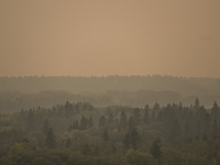 EDMONTON, CANADA - SEPTEMBER 03, 2023:
A view of Edmonton area amid wildfire smoke, on September 03, 2023, in Edmonton, Canada.
Wildfires in...