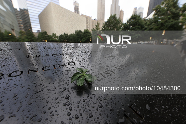 Flowers and US flags are laid on one of the North Pool panels at World Trade Center Memorial to commemorate the 9/11 Anniversary in New York...