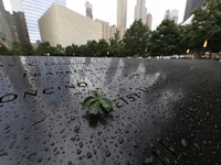 Flowers and US flags are laid on one of the North Pool panels at World Trade Center Memorial to commemorate the 9/11 Anniversary in New York...