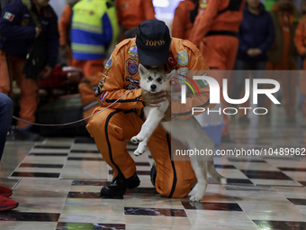 Hector Mendez, better known as El Chino, head and founder of the International Rescue Brigade Topos Azteca, hugs his rescue dog Luna accompa...