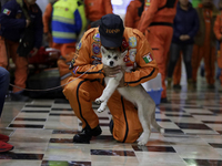 Hector Mendez, better known as El Chino, head and founder of the International Rescue Brigade Topos Azteca, hugs his rescue dog Luna accompa...