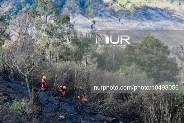 Some of officers shot water to the remaining fires on the slopes of the mountain that occurred since mid-August during the dry season in the...