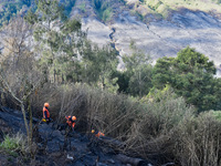 Some of officers shot water to the remaining fires on the slopes of the mountain that occurred since mid-August during the dry season in the...