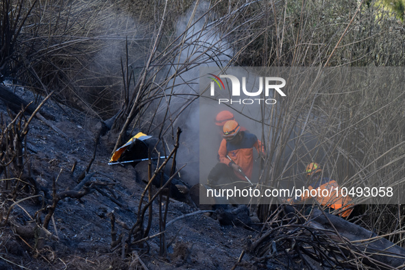 Some of officers shot water to the remaining fires on the slopes of the mountain that occurred since mid-August during the dry season in the...