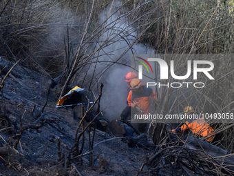 Some of officers shot water to the remaining fires on the slopes of the mountain that occurred since mid-August during the dry season in the...