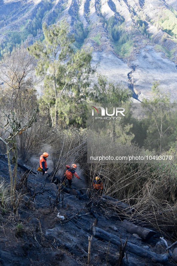 Some of officers shot water to the remaining fires on the slopes of the mountain that occurred since mid-August during the dry season in the...