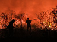 A peatland fire occurred on the side of the Palembang-Inderalaya toll road on Tuesday, September 12, 2023. (