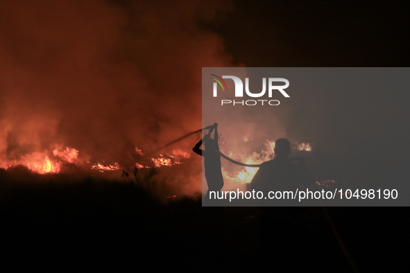 A peatland fire occurred on the side of the Palembang-Inderalaya toll road on Tuesday, September 12, 2023. 