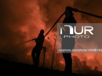 A peatland fire occurred on the side of the Palembang-Inderalaya toll road on Tuesday, September 12, 2023. (