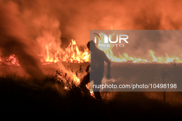 A peatland fire occurred on the side of the Palembang-Inderalaya toll road on Tuesday, September 12, 2023. 