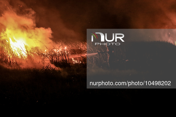 A peatland fire occurred on the side of the Palembang-Inderalaya toll road on Tuesday, September 12, 2023. 