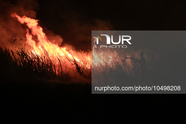 A peatland fire occurred on the side of the Palembang-Inderalaya toll road on Tuesday, September 12, 2023. 