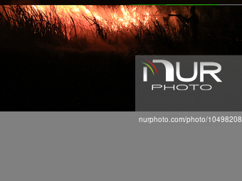 A peatland fire occurred on the side of the Palembang-Inderalaya toll road on Tuesday, September 12, 2023. (