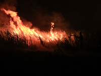 A peatland fire occurred on the side of the Palembang-Inderalaya toll road on Tuesday, September 12, 2023. (