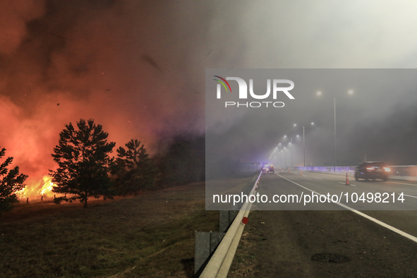 A peatland fire occurred on the side of the Palembang-Inderalaya toll road on Tuesday, September 12, 2023. 