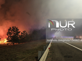 A peatland fire occurred on the side of the Palembang-Inderalaya toll road on Tuesday, September 12, 2023. (