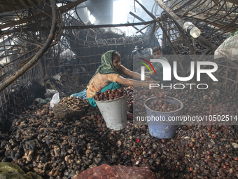 Shopkeepers look for the goods that survived from the massive fire at Mohammadpur Krishi Market in Dhaka on September 14, 2023. A massive bl...