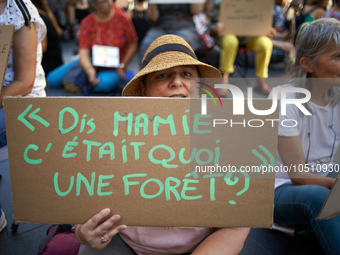 A woan holds a placard 'Hey, granie, what was a forest ?' Extinction Rebellion (XR) Toulouse organized a sit-in of women in one of the most...