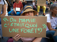 A woan holds a placard 'Hey, granie, what was a forest ?' Extinction Rebellion (XR) Toulouse organized a sit-in of women in one of the most...