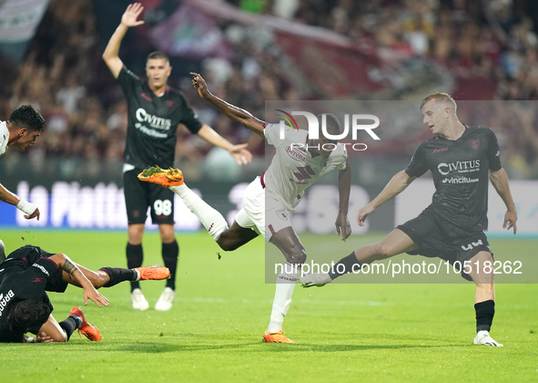 Demba Seck of Torino Fc during the Serie A TIM match between US Salernitana and Torino FC in Salerno, Italy, on September 18, 2023. 