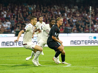 Erik Botheim of Us Salernitana 1919 during the Serie A TIM match between US Salernitana and Torino FC in Salerno, Italy, on September 18, 20...