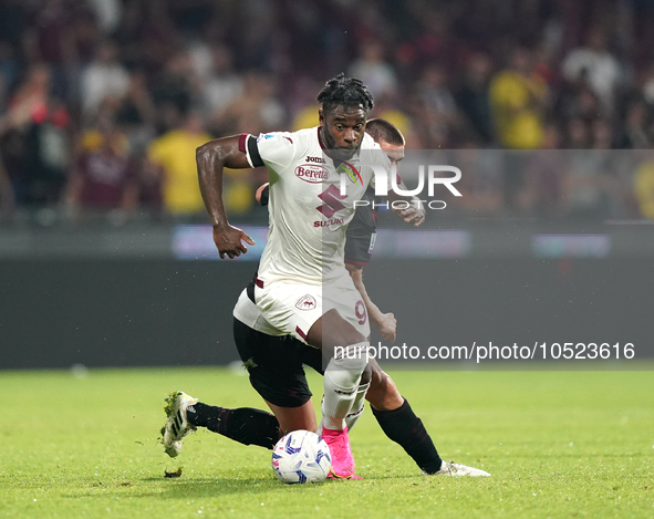 Duvan Zapata of Torino Fc during the Serie A TIM match between US Salernitana and Torino FC in Salerno, Italy, on September 18, 2023. 