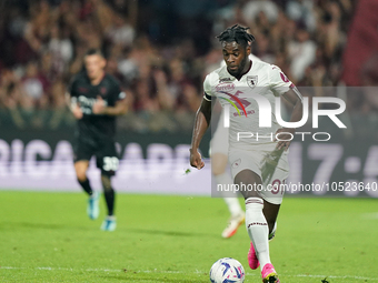 Duvan Zapata of Torino Fc during the Serie A TIM match between US Salernitana and Torino FC in Salerno, Italy, on September 18, 2023. (