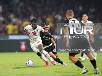 Duvan Zapata of Torino Fc during the Serie A TIM match between US Salernitana and Torino FC in Salerno, Italy, on September 18, 2023. (