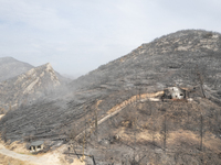 A drone image shows a view of the burned areas of land between the Dadia forest and the villages of Kirkis and Sykorrachis, Alexandroupolis,...