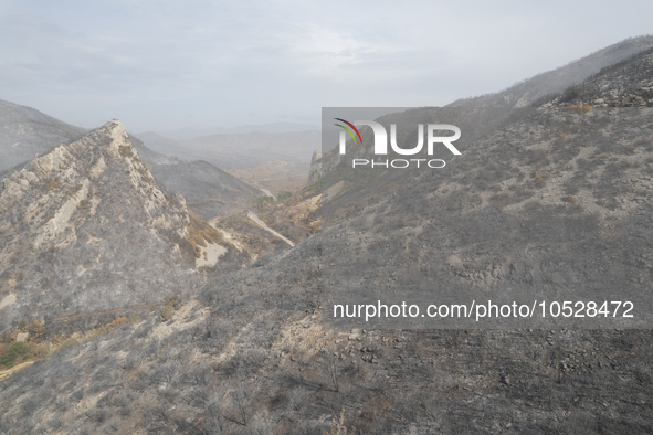 A drone image shows a view of the burned areas of land between the Dadia forest and the villages of Kirkis and Sykorrachis, Alexandroupolis,...